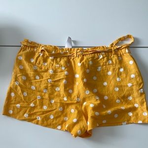 XL Loft new shorts